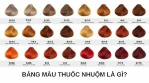 cách đọc thông số màu nhuộm