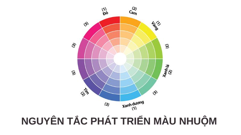 cấp độ màu tóc