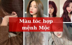 Những màu tóc hợp mệnh Mộc